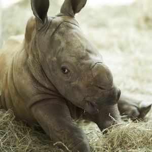 Meet your Posher, Marc